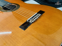 Aria AC-80 CD _ All solid Made in Spain