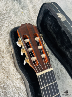 Aria AC-80 CD _ All solid Made in Spain