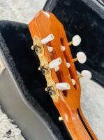 Aria AC-80 CD _ All solid Made in Spain