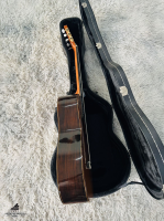 Aria AC-80 CD _ All solid Made in Spain