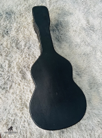 Aria AC-80 CD _ All solid Made in Spain