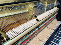 Yamaha U300S Máy Silent