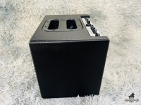 Amply AER BINGO2 Made in Germany