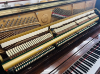 KAWAI KL801 Cao Cấp _ Made in Japan