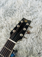 Yamaha FG-350F tem cổ