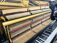 YAMAHA U3M NGUYÊN BẢN JAPAN | BẢO HÀNH 10 NĂM