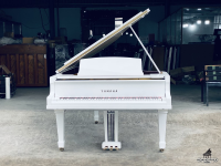 YAMAHA G5 WH NGUYÊN BẢN JAPAN| PIANO HOÀNG PHÚC