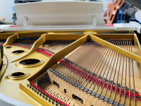 YAMAHA G5 WH NGUYÊN BẢN JAPAN| PIANO HOÀNG PHÚC