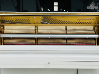 Fukuyama & Sons - EST 1900