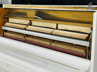 Fukuyama & Sons - EST 1900