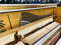 Fukuyama & Sons - EST 1900