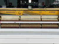 Pruthner P-2 Special