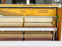 Pruthner P-2 Special