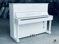 Pruthner P-2 Special