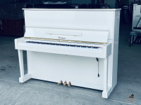 Pruthner P-2 Special