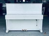 Pruthner P-2 Special