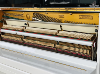 Pruthner P-2 Special