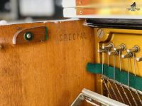 Pruthner P-2 Special