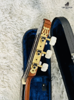 Asturias AST-80 Brazil Jacaranda