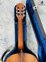 Asturias AST-80 Brazil Jacaranda