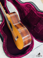 Jose Ramirez 3NAE_ All Solid