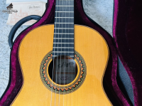 Jose Ramirez 3NAE_ All Solid