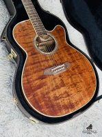 Takamine TDP531KC-N