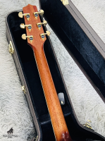 Takamine TDP531KC-N