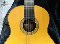 Sakurai Maestro 2014 Cao Cấp