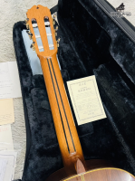 Sakurai Maestro 2014 Cao Cấp