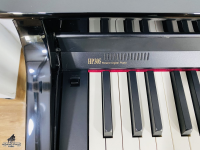 Chuyên Cung Cấp Sỉ Và Lẻ Piano & Guitar Secondhand Nhập Khẩu 100% Từ Nhật - Với Chất Lượng Và Chế Độ Bảo Hành Uy Tín, Nhanh Chóng. Hỗ trợ trả góp từ 0% bằng thẻ tín dụng cho khách hàng.