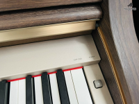 Chuyên Cung Cấp Sỉ Và Lẻ Piano & Guitar Secondhand Nhập Khẩu 100% Từ Nhật - Với Chất Lượng Và Chế Độ Bảo Hành Uy Tín, Nhanh Chóng. Hỗ trợ trả góp từ 0% bằng thẻ tín dụng cho khách hàng.