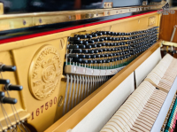 Chuyên Cung Cấp Sỉ Và Lẻ Piano & Guitar Secondhand Nhập Khẩu 100% Từ Nhật - Với Chất Lượng Và Chế Độ Bảo Hành Uy Tín, Nhanh Chóng. Hỗ trợ trả góp từ 0% bằng thẻ tín dụng cho khách hàng.