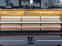 Chuyên Cung Cấp Sỉ Và Lẻ Piano & Guitar Secondhand Nhập Khẩu 100% Từ Nhật - Với Chất Lượng Và Chế Độ Bảo Hành Uy Tín, Nhanh Chóng. Hỗ trợ trả góp từ 0% bằng thẻ tín dụng cho khách hàng.