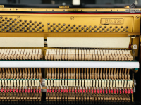 Chuyên Cung Cấp Sỉ Và Lẻ Piano & Guitar Secondhand Nhập Khẩu 100% Từ Nhật - Với Chất Lượng Và Chế Độ Bảo Hành Uy Tín, Nhanh Chóng. Hỗ trợ trả góp từ 0% bằng thẻ tín dụng cho khách hàng.