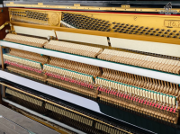 Chuyên Cung Cấp Sỉ Và Lẻ Piano & Guitar Secondhand Nhập Khẩu 100% Từ Nhật - Với Chất Lượng Và Chế Độ Bảo Hành Uy Tín, Nhanh Chóng. Hỗ trợ trả góp từ 0% bằng thẻ tín dụng cho khách hàng.