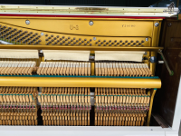 Chuyên Cung Cấp Sỉ Và Lẻ Piano & Guitar Secondhand Nhập Khẩu 100% Từ Nhật - Với Chất Lượng Và Chế Độ Bảo Hành Uy Tín, Nhanh Chóng. Hỗ trợ trả góp từ 0% bằng thẻ tín dụng cho khách hàng.