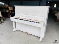 Chuyên Cung Cấp Sỉ Và Lẻ Piano & Guitar Secondhand Nhập Khẩu 100% Từ Nhật - Với Chất Lượng Và Chế Độ Bảo Hành Uy Tín, Nhanh Chóng. Hỗ trợ trả góp từ 0% bằng thẻ tín dụng cho khách hàng.