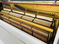 Chuyên Cung Cấp Sỉ Và Lẻ Piano & Guitar Secondhand Nhập Khẩu 100% Từ Nhật - Với Chất Lượng Và Chế Độ Bảo Hành Uy Tín, Nhanh Chóng. Hỗ trợ trả góp từ 0% bằng thẻ tín dụng cho khách hàng.