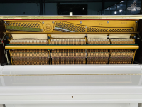 Chuyên Cung Cấp Sỉ Và Lẻ Piano & Guitar Secondhand Nhập Khẩu 100% Từ Nhật - Với Chất Lượng Và Chế Độ Bảo Hành Uy Tín, Nhanh Chóng. Hỗ trợ trả góp từ 0% bằng thẻ tín dụng cho khách hàng.