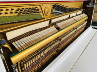 Chuyên Cung Cấp Sỉ Và Lẻ Piano & Guitar Secondhand Nhập Khẩu 100% Từ Nhật - Với Chất Lượng Và Chế Độ Bảo Hành Uy Tín, Nhanh Chóng. Hỗ trợ trả góp từ 0% bằng thẻ tín dụng cho khách hàng.