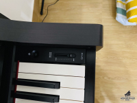 Chuyên Cung Cấp Sỉ Và Lẻ Piano & Guitar Secondhand Nhập Khẩu 100% Từ Nhật - Với Chất Lượng Và Chế Độ Bảo Hành Uy Tín, Nhanh Chóng. Hỗ trợ trả góp từ 0% bằng thẻ tín dụng cho khách hàng.