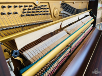 Chuyên Cung Cấp Sỉ Và Lẻ Piano & Guitar Secondhand Nhập Khẩu 100% Từ Nhật - Với Chất Lượng Và Chế Độ Bảo Hành Uy Tín, Nhanh Chóng. Hỗ trợ trả góp từ 0% bằng thẻ tín dụng cho khách hàng.