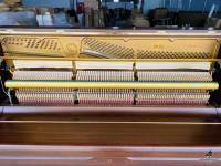 Chuyên Cung Cấp Sỉ Và Lẻ Piano & Guitar Secondhand Nhập Khẩu 100% Từ Nhật - Với Chất Lượng Và Chế Độ Bảo Hành Uy Tín, Nhanh Chóng. Hỗ trợ trả góp từ 0% bằng thẻ tín dụng cho khách hàng.