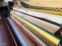 Chuyên Cung Cấp Sỉ Và Lẻ Piano & Guitar Secondhand Nhập Khẩu 100% Từ Nhật - Với Chất Lượng Và Chế Độ Bảo Hành Uy Tín, Nhanh Chóng. Hỗ trợ trả góp từ 0% bằng thẻ tín dụng cho khách hàng.