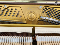 Chuyên Cung Cấp Sỉ Và Lẻ Piano & Guitar Secondhand Nhập Khẩu 100% Từ Nhật - Với Chất Lượng Và Chế Độ Bảo Hành Uy Tín, Nhanh Chóng. Hỗ trợ trả góp từ 0% bằng thẻ tín dụng cho khách hàng.
