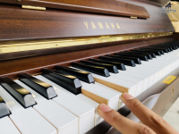 Chuyên Cung Cấp Sỉ Và Lẻ Piano & Guitar Secondhand Nhập Khẩu 100% Từ Nhật - Với Chất Lượng Và Chế Độ Bảo Hành Uy Tín, Nhanh Chóng. Hỗ trợ trả góp từ 0% bằng thẻ tín dụng cho khách hàng.
