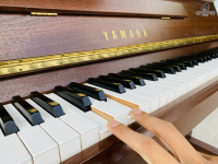 Yamaha W116
