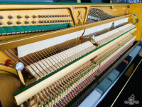 Chuyên Cung Cấp Sỉ Và Lẻ Piano & Guitar Secondhand Nhập Khẩu 100% Từ Nhật - Với Chất Lượng Và Chế Độ Bảo Hành Uy Tín, Nhanh Chóng. Hỗ trợ trả góp từ 0% bằng thẻ tín dụng cho khách hàng.