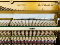 Chuyên Cung Cấp Sỉ Và Lẻ Piano & Guitar Secondhand Nhập Khẩu 100% Từ Nhật - Với Chất Lượng Và Chế Độ Bảo Hành Uy Tín, Nhanh Chóng. Hỗ trợ trả góp từ 0% bằng thẻ tín dụng cho khách hàng.